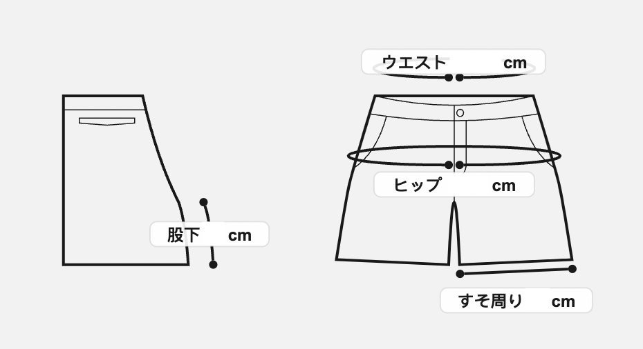 TNF x BEAMS / 別注 ナイロン ロゴ ショーツ (NT4306N)