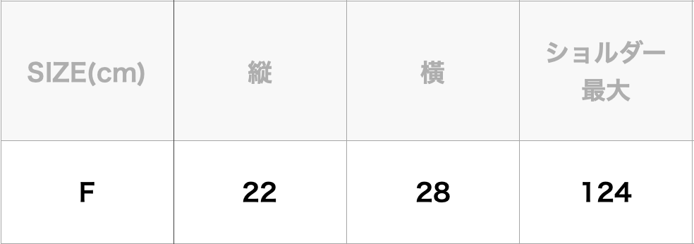 Field Small Shoulder Bag / TNF Purple Label (NN7319N)