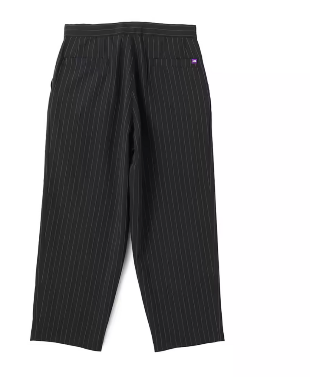 THE NORTH FACE PURPLE LABEL Striped Field Pants Gray / TNF Purple Label (n25sc029)