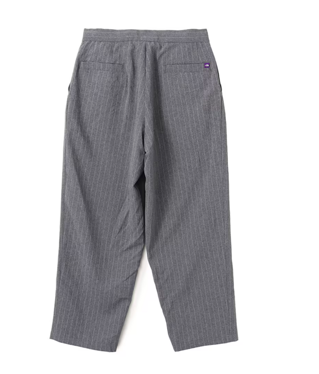 THE NORTH FACE PURPLE LABEL Striped Field Pants Gray / TNF Purple Label (n25sc029)