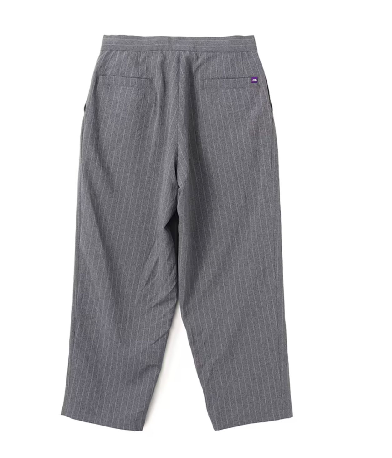 THE NORTH FACE PURPLE LABEL Striped Field Pants Gray / TNF Purple Label (n25sc029)
