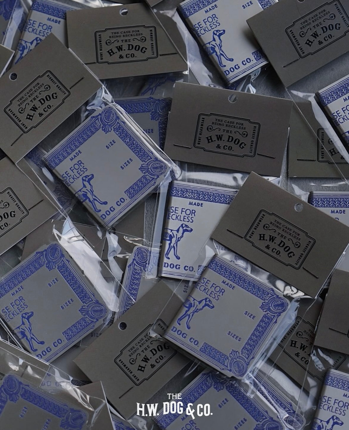 小物 THE H.W. DOG&CO MONEY CLIP MONEY CLIP - Silver×Blue – THE H.W.DOG&CO.