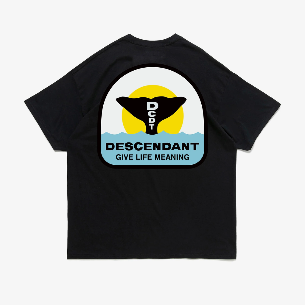 25SS DCDT / FLUKE UP SS